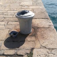 IMG 20180707 094741