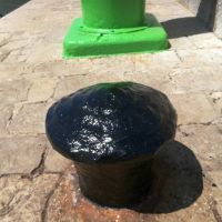 IMG 20180707 120531